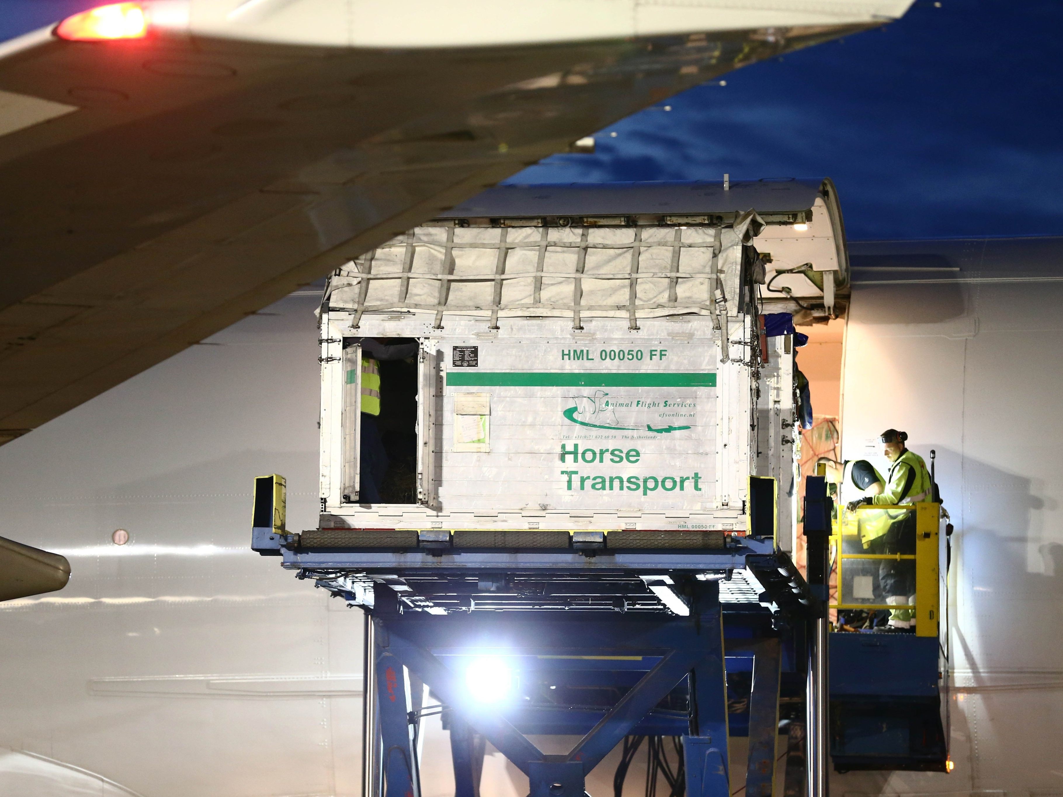 Lufthansa Cargo hat 2024 mehr als 80 Millionen Tiere durch die Welt geflogen, wie ihre Bilanz zeigt. Darunter waren 2800 Pferde, 14.000 Haustiere und 200 Zootiere. Fotos: Shutterstock; Jeppe Gustafsson;EQRoy